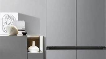 美的冰箱和海尔冰箱质量哪个好些_美的冰箱和海尔冰箱质量哪个好些呢